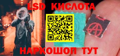 крисы Абакан