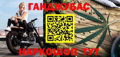 гашик Гусев
