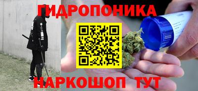 гашик Гусев