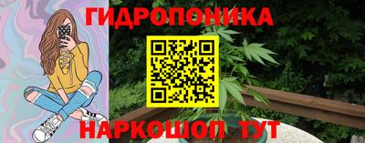 гашик Гусев