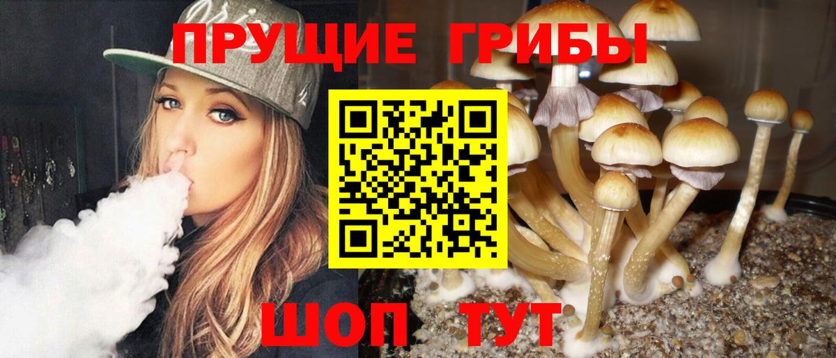 Псилоцибиновые грибы Psilocybine cubensis  Псилоцибиновые грибы Psilocybine cubensis  где найти   Лангепас 