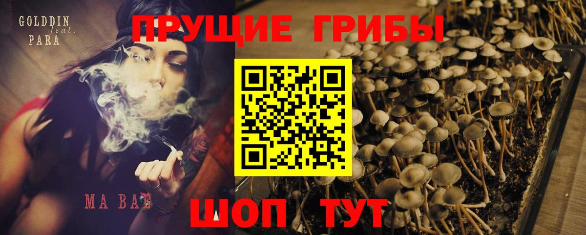 Псилоцибиновые грибы MAGIC MUSHROOMS Лангепас